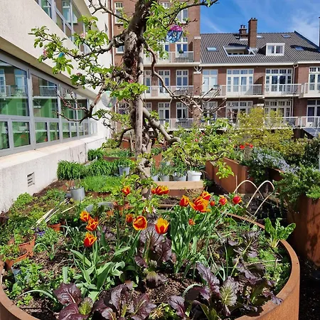 Court Garden Hotel