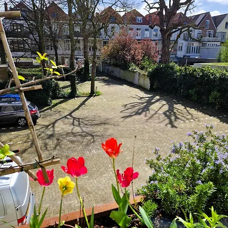 Court Garden 4*